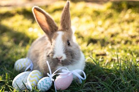Ostern & Wellness - Ihr Frühlings SPA