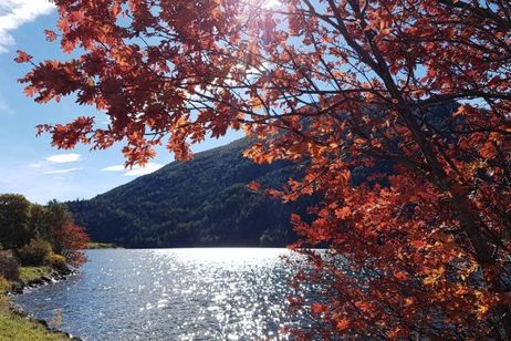 Top Angebot "Indian Summer am Haidersee 6=7"