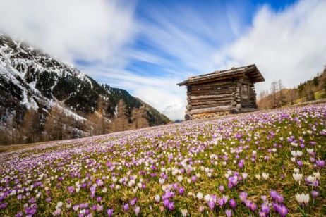 Zurück zur Natur 5=4 oder  7=6 