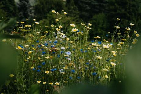 Opening special -15%