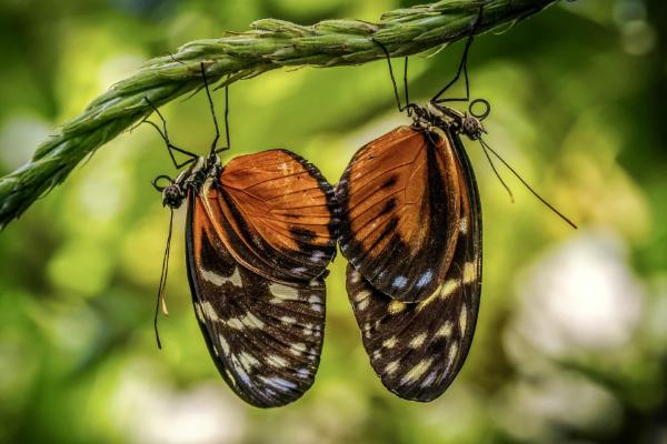 Una vacanza tra amiche