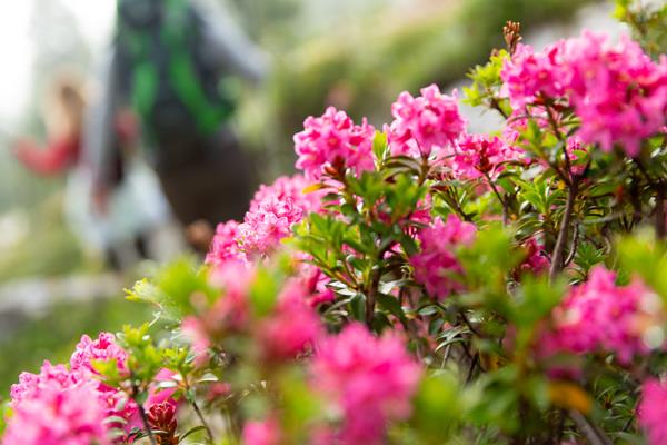 4=3 nel bellissimo maggio