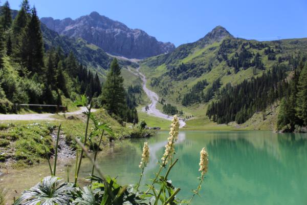 Strasserwirt - Ansitz zu Tirol 